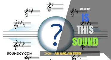 Identifying Musical Keys: Unlocking the Mystery of This Sound's Key