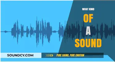 Exploring the Intriguing Nature of Sounds: What Kind of a Sound?