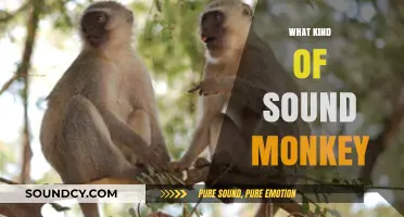 Exploring the Unique Sounds and Calls of Different Monkey Species