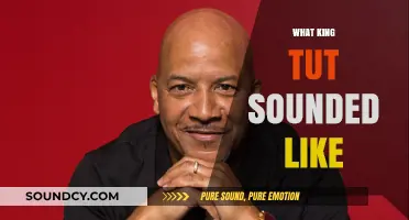 Unveiling King Tut's Voice: Reconstructing Ancient Egypt's Royal Speech