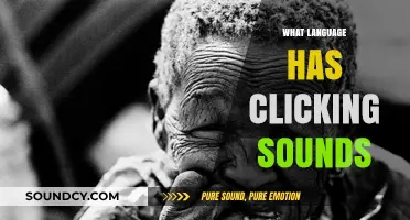 Exploring Unique Speech: Languages Featuring Distinctive Clicking Sounds