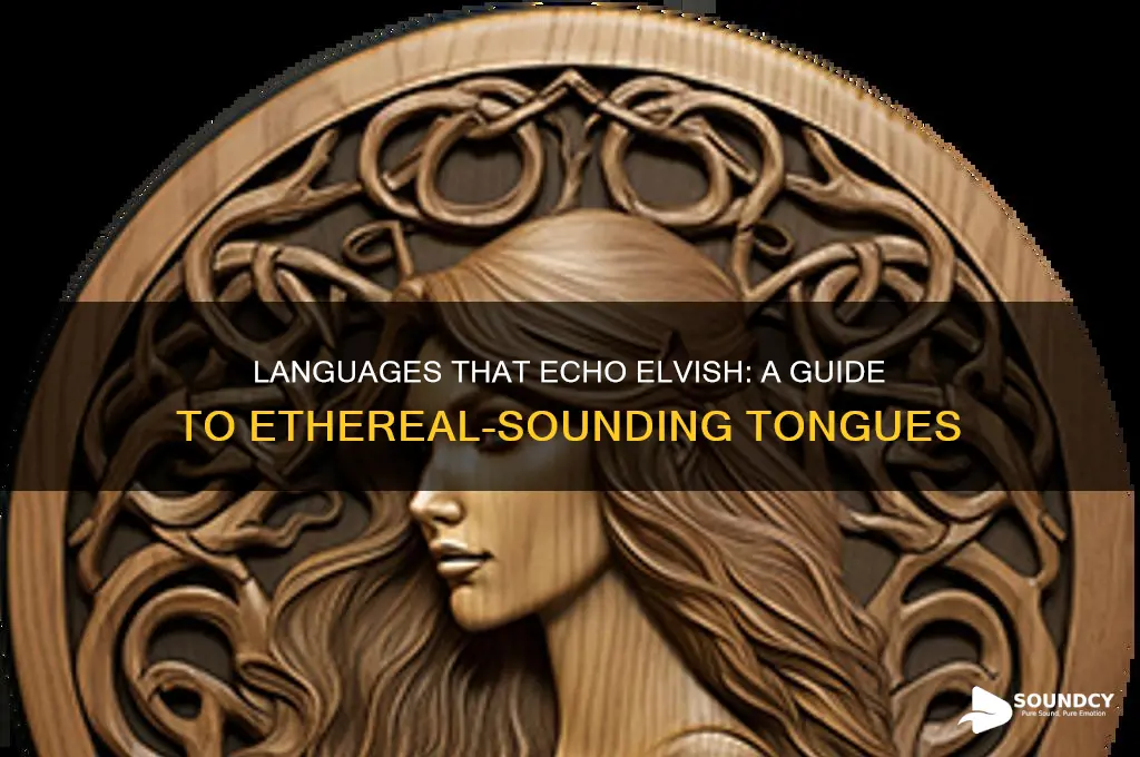 what language sounds like elvish