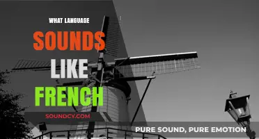 Languages That Echo French: A Sonic Journey Through Similar Tongues