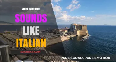 Languages That Echo Italian: A Melodic Journey Through Similar Sounds