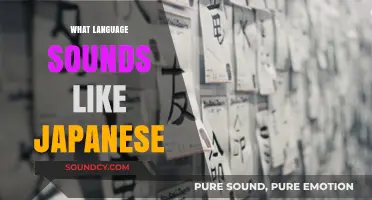 Languages That Echo Japanese: Surprising Similarities and Cultural Connections