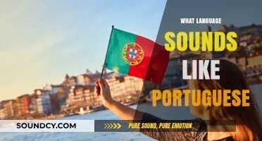 Languages That Sound Like Portuguese: Exploring Similar Rhythms and Accents