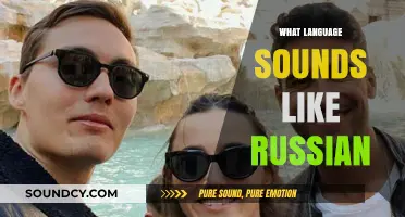 Languages That Sound Like Russian: Surprising Slavic and Non-Slavic Similarities