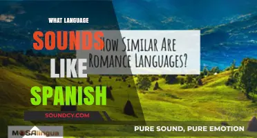 Languages That Sound Like Spanish: Exploring Similarities and Surprising Connections