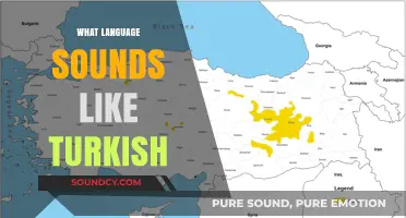 Languages That Sound Like Turkish: Exploring Linguistic Similarities and Connections
