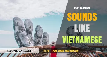 Exploring Languages That Share Similar Sounds with Vietnamese