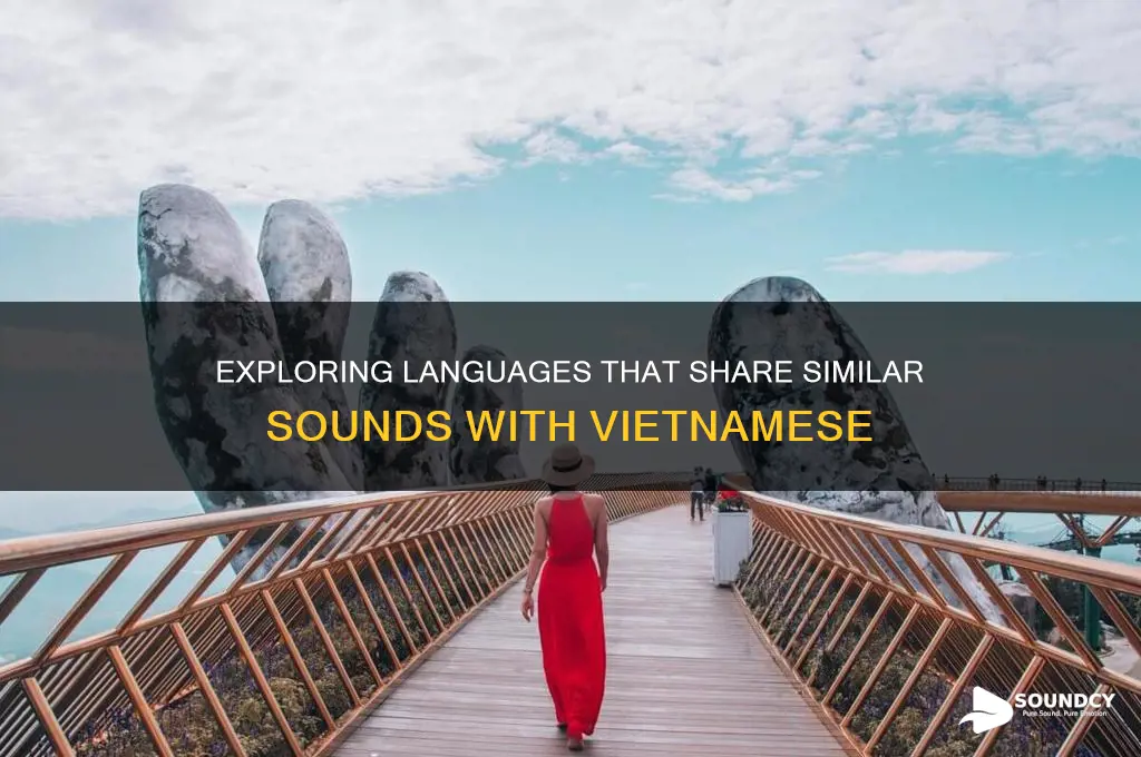 what language sounds like vietnamese