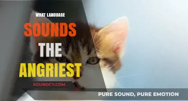 Which Language Sounds the Angriest? A Global Linguistic Showdown