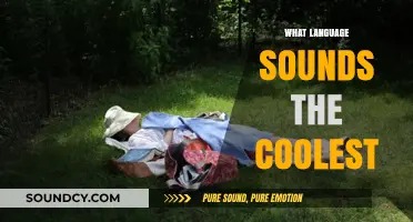 The Coolest-Sounding Languages: A Global Quest for Sonic Appeal