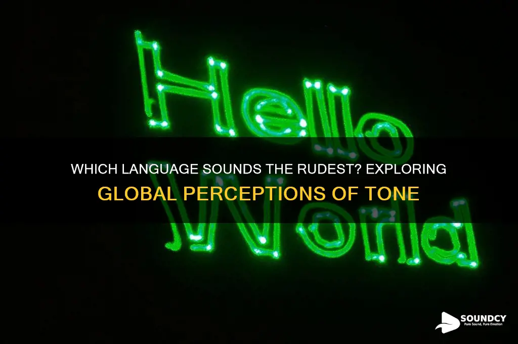 what language sounds the rudest