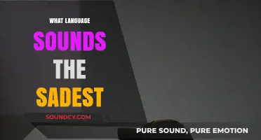 Exploring the World's Most Melancholic Language: Which Sounds the Saddest?