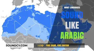 Languages That Echo Arabic: Surprising Similarities in Sounds and Structure