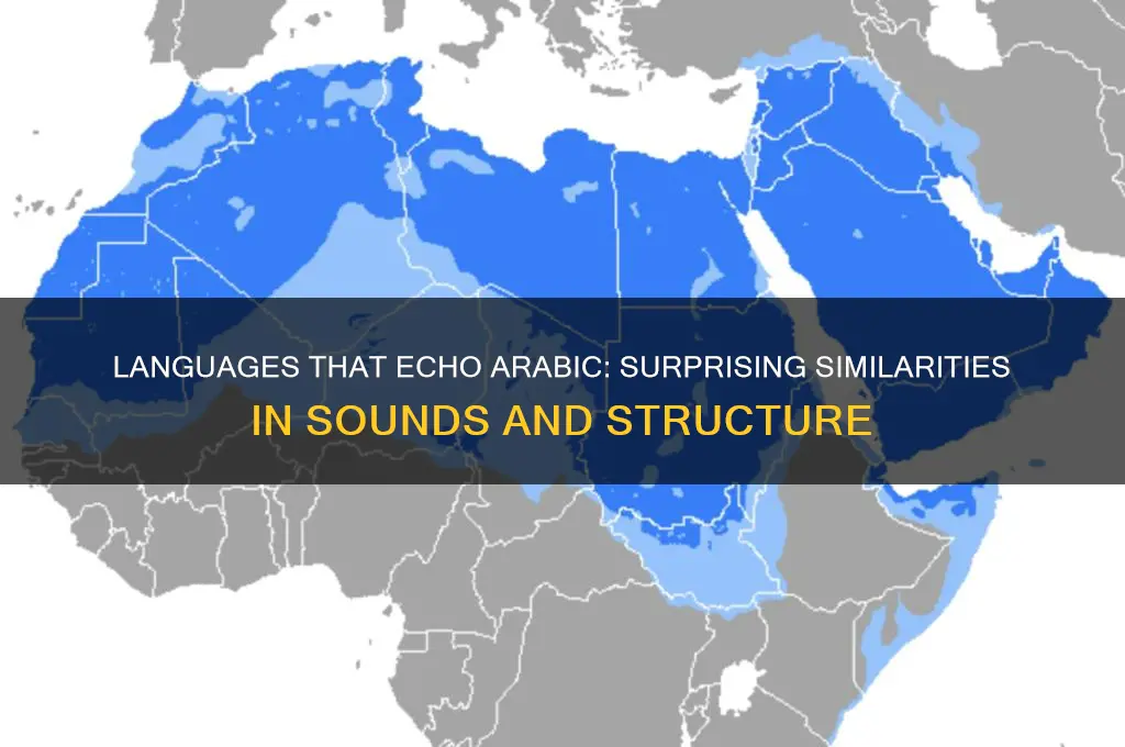 what languages sound like arabic
