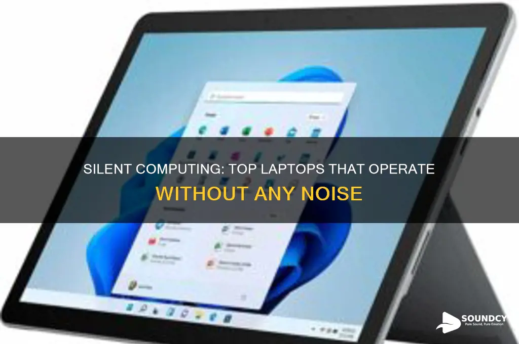 what laptops make no sounds