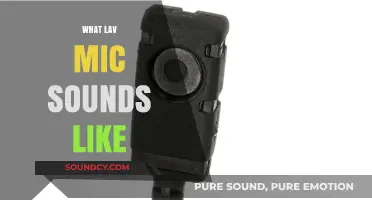 Exploring the Crisp, Clear Audio Quality of LAV Mics in Action