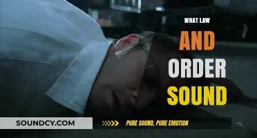 Decoding the Siren's Call: Understanding Law and Order's Sonic Signature