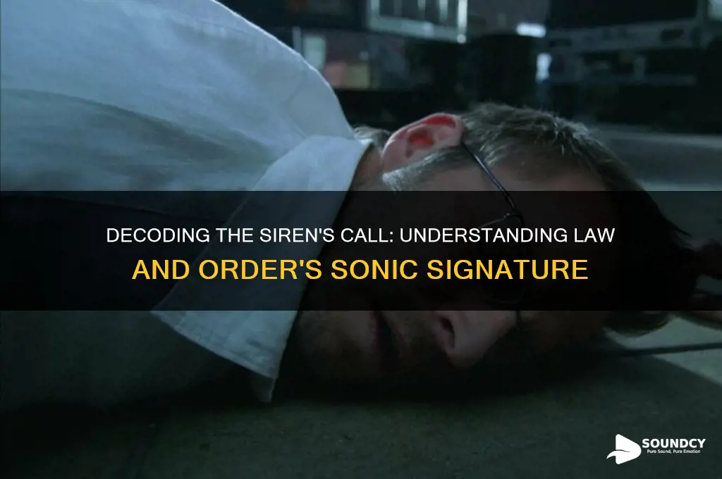 what law and order sound