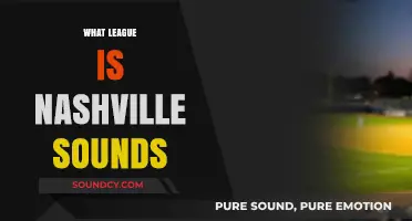 Nashville Sounds League Affiliation: Understanding Their Minor League Baseball Level