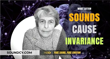 Exploring Letter Sounds: Understanding Invariance in Phonetic Patterns