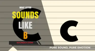 Exploring Phonetics: Which Letter Sounds Like B in English?