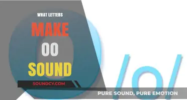Mastering the 'OO' Sound: Key Letters and Phonics Rules Explained