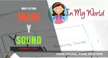 Exploring the Letters That Create the Y Sound in English Phonetics
