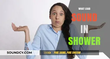 Decoding the Mysterious Load Sound in Your Shower: Causes and Fixes