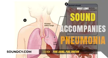 Identifying Pneumonia: Understanding the Distinct Lung Sounds Associated with It