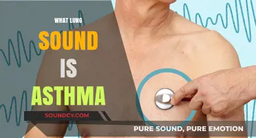 Understanding Asthma: Identifying Lung Sounds and Respiratory Patterns