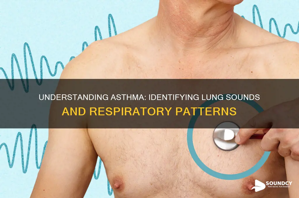 what lung sound is asthma