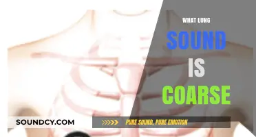 Understanding Coarse Lung Sounds: Causes, Diagnosis, and Clinical Significance