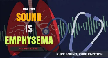 Understanding Emphysema: Identifying Abnormal Lung Sounds and Symptoms