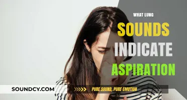 Understanding Lung Sounds: Identifying Aspiration Through Auscultation Clues