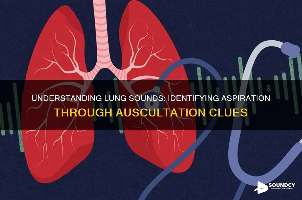 what lung sounds indicate aspiration