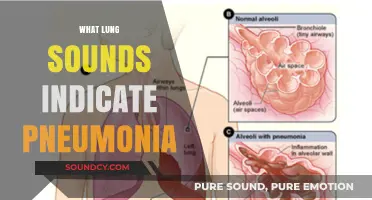 Identifying Pneumonia: Key Lung Sounds and Their Clinical Significance