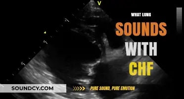 Understanding Lung Sounds in Congestive Heart Failure: A Comprehensive Guide