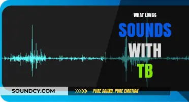 Understanding Tuberculosis: Identifying Abnormal Lung Sounds in TB Patients