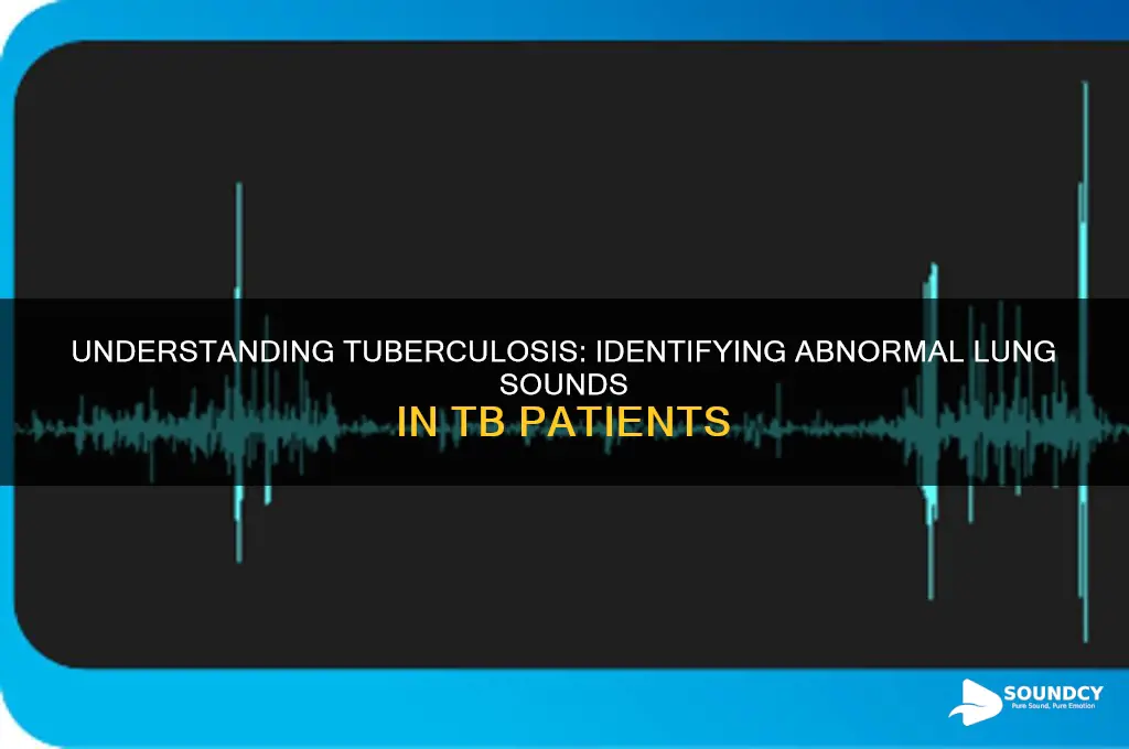 what lungs sounds with tb