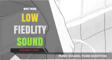 Unraveling the Raw Charm of Low-Fidelity Sound's Unique Appeal