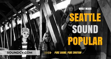 Seattle Sound's Rise: Grunge, Iconic Bands, and Cultural Impact Explained