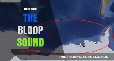 Unraveling the Mystery: What Caused the Enigmatic Bloop Sound?