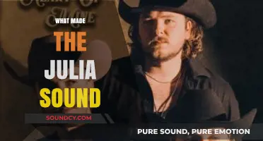 Unraveling the Mystery: What Made the Julia Sound Unique?