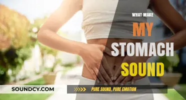 Why Your Stomach Makes Noises: Understanding the Sounds Within