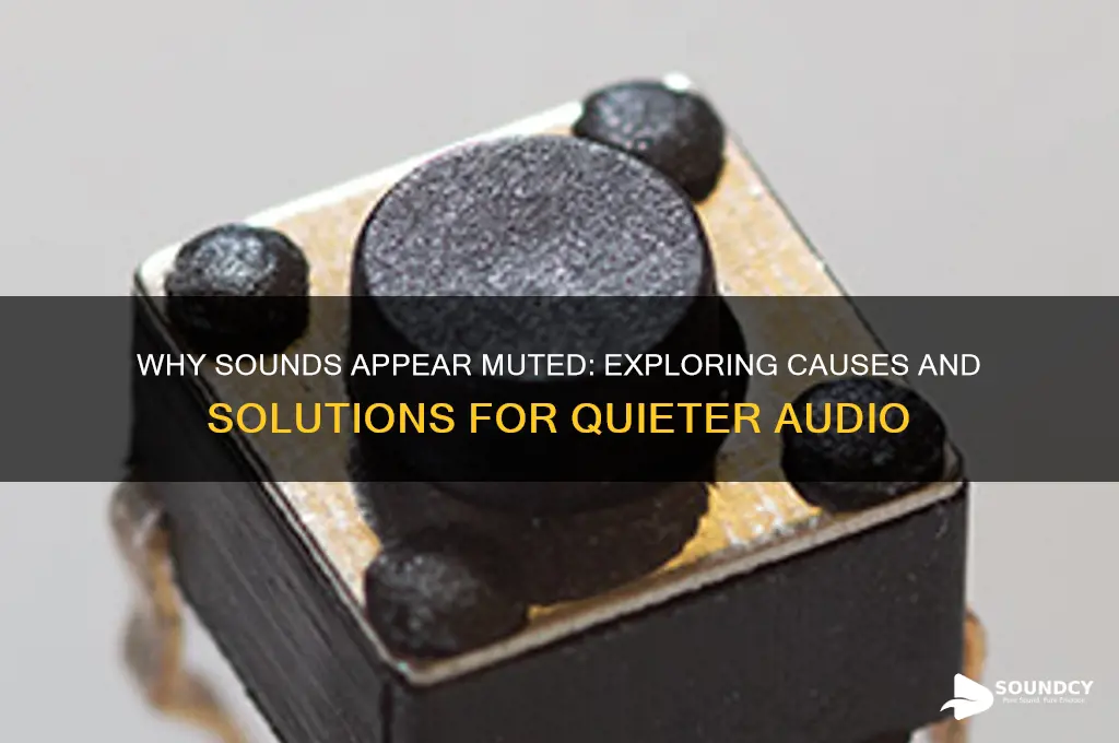 what make sound sound muted