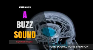 Unraveling the Science Behind Buzzing Sounds: Causes and Characteristics