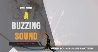 Unraveling the Mystery: What Causes That Persistent Buzzing Sound?